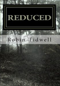 BookCoverPreview - Copy